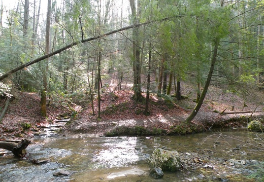 Rough Trail
